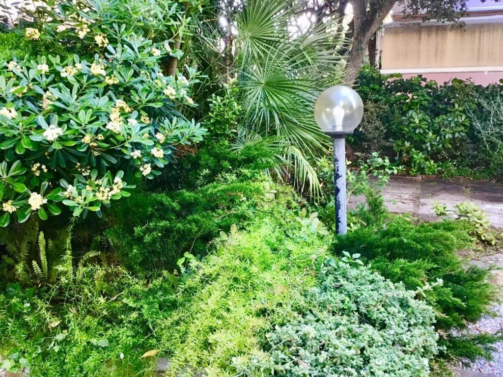 La Coccinella Residence サン·ヴィンチェンツォ エクステリア 写真